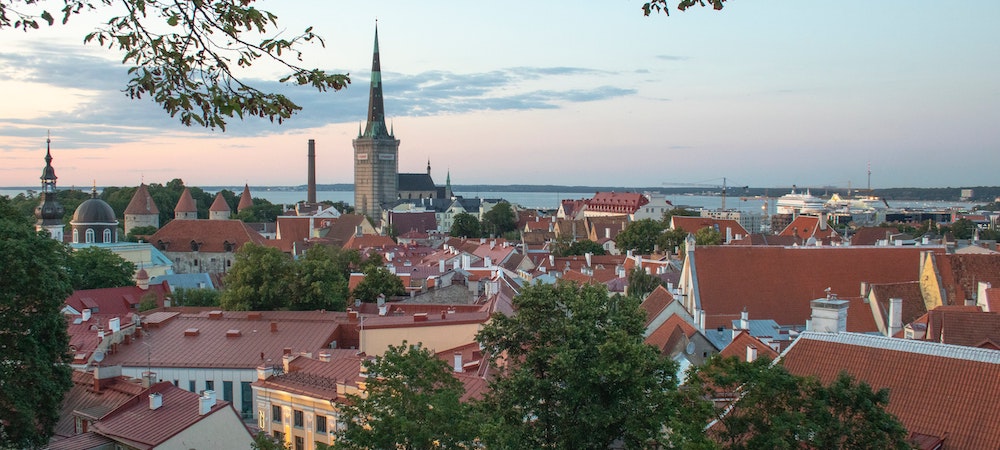 estonya-e-vatandaslik