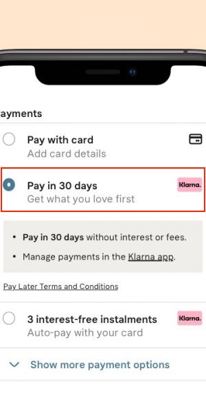 klarna odeme secenegi